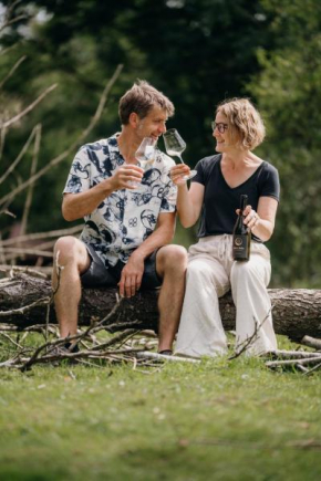 Monschein Weingut Straden